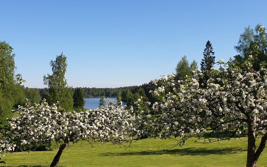 Suven aika -kevätjuhla 22.5.